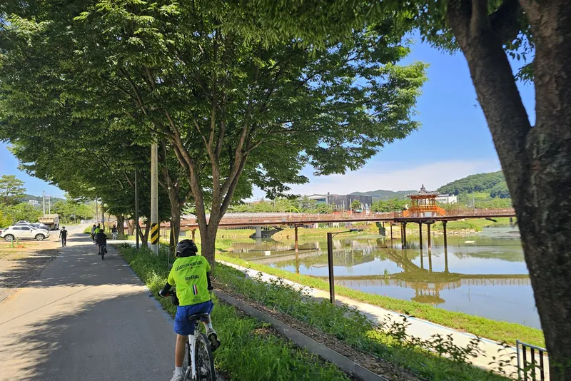 물가 옆 가로수길을 달리는 형광 저지의 라이더 뒷모습